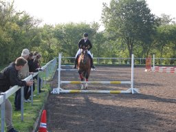 img_0142_web
